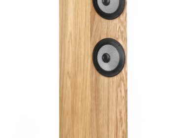 loa Pylon Audio Ruby 25 truoc