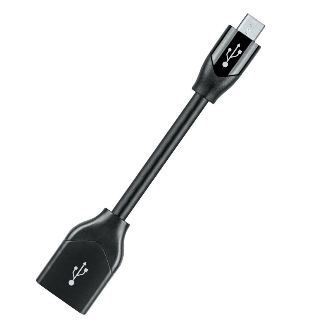 AudioQuest DragonTail USB can