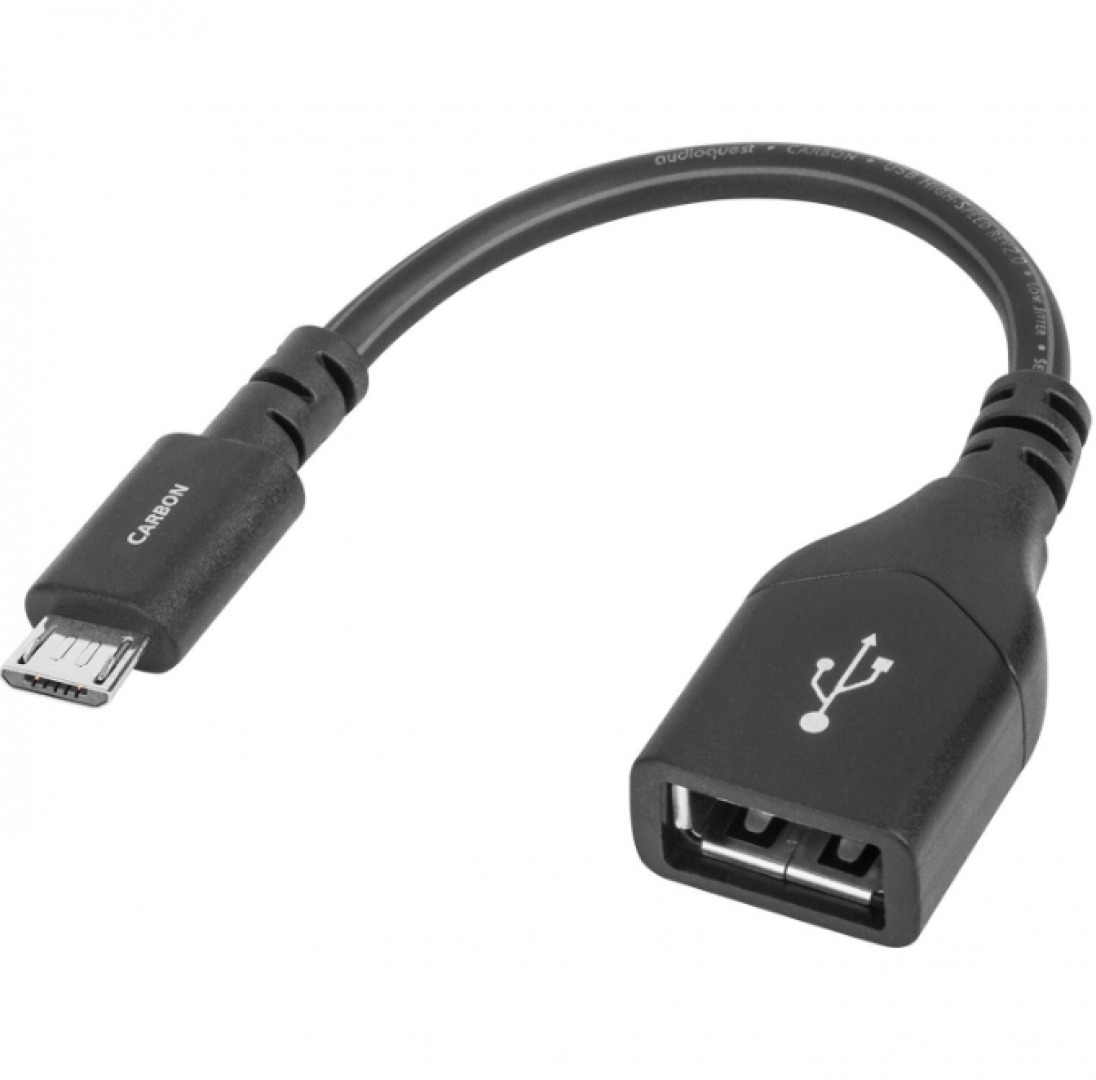 AudioQuest DragonTail USB