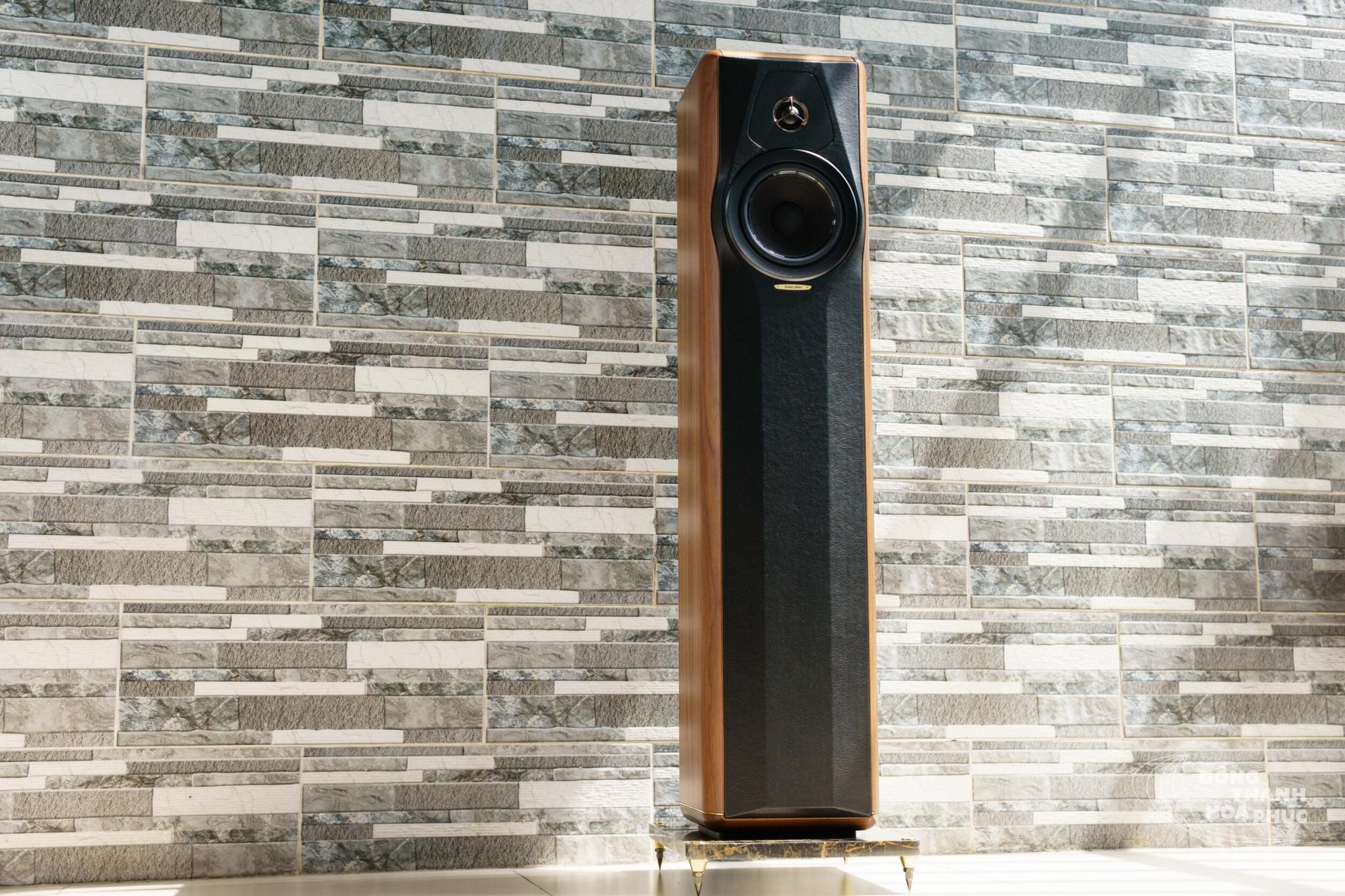 Sonus Faber Maxima Amator dep