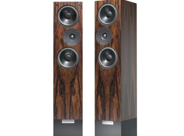Living Voice IBX R4