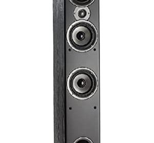 Polk Audio Monitor60